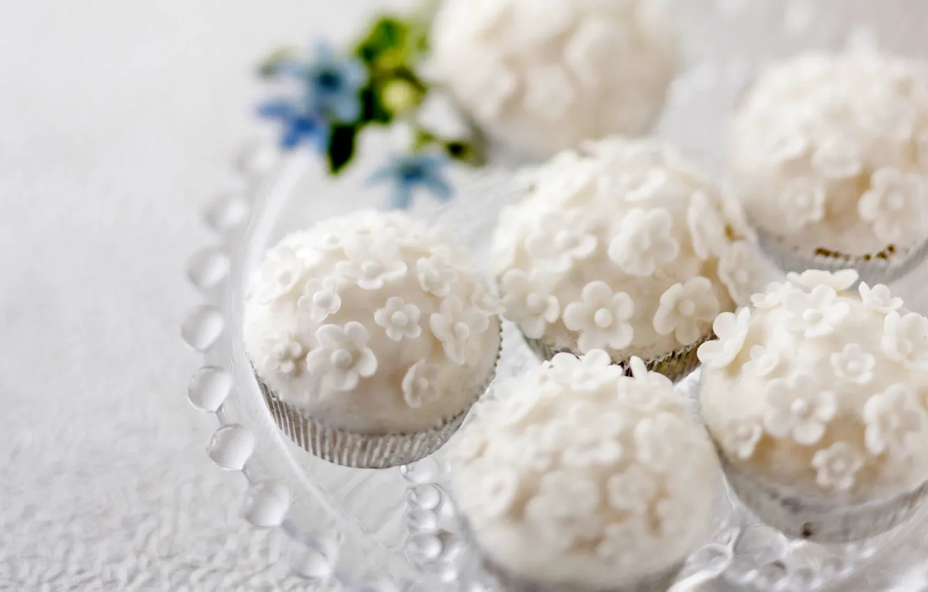 Photo wallpaper white, Candy, sweets, yummy, flowers