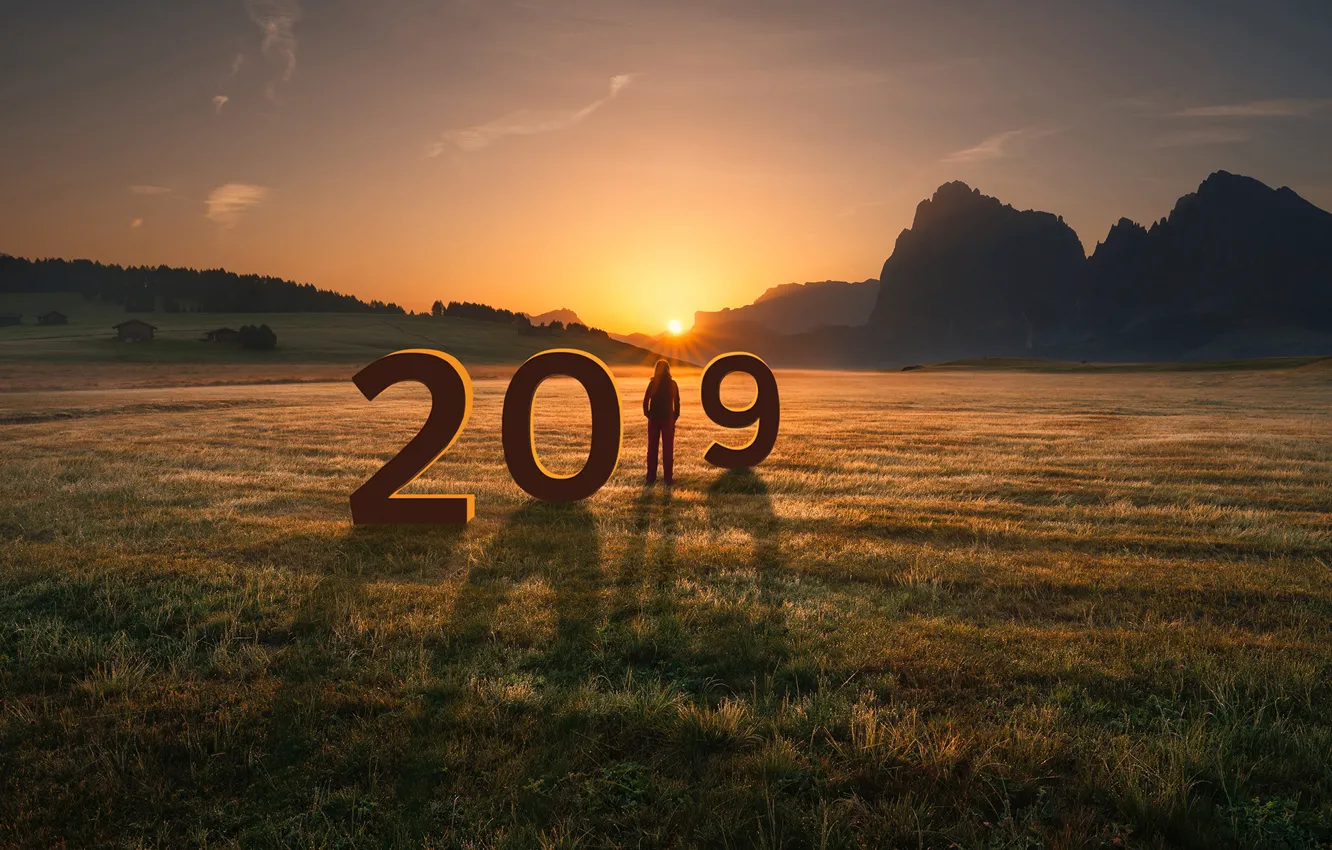 Photo wallpaper field, the sun, new year, 2019