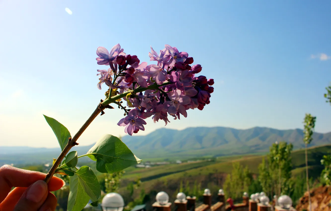 Photo wallpaper the sky, landscape, flowers, mountains, nature, hills, hands, beautiful