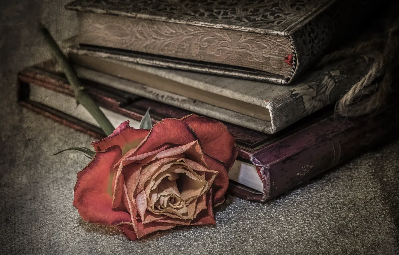 Photo wallpaper background, roses, book