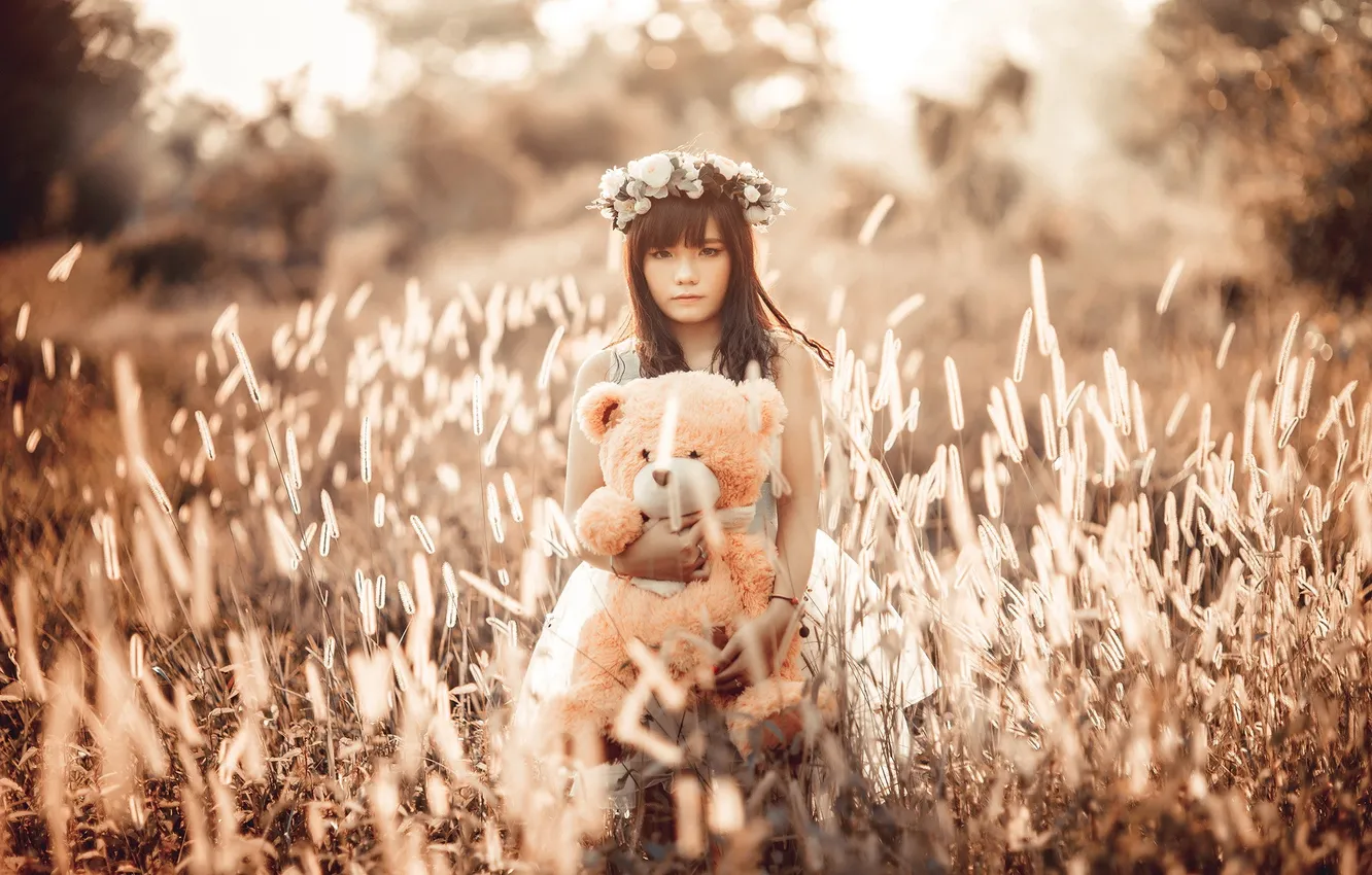 Photo wallpaper girl, background, bear