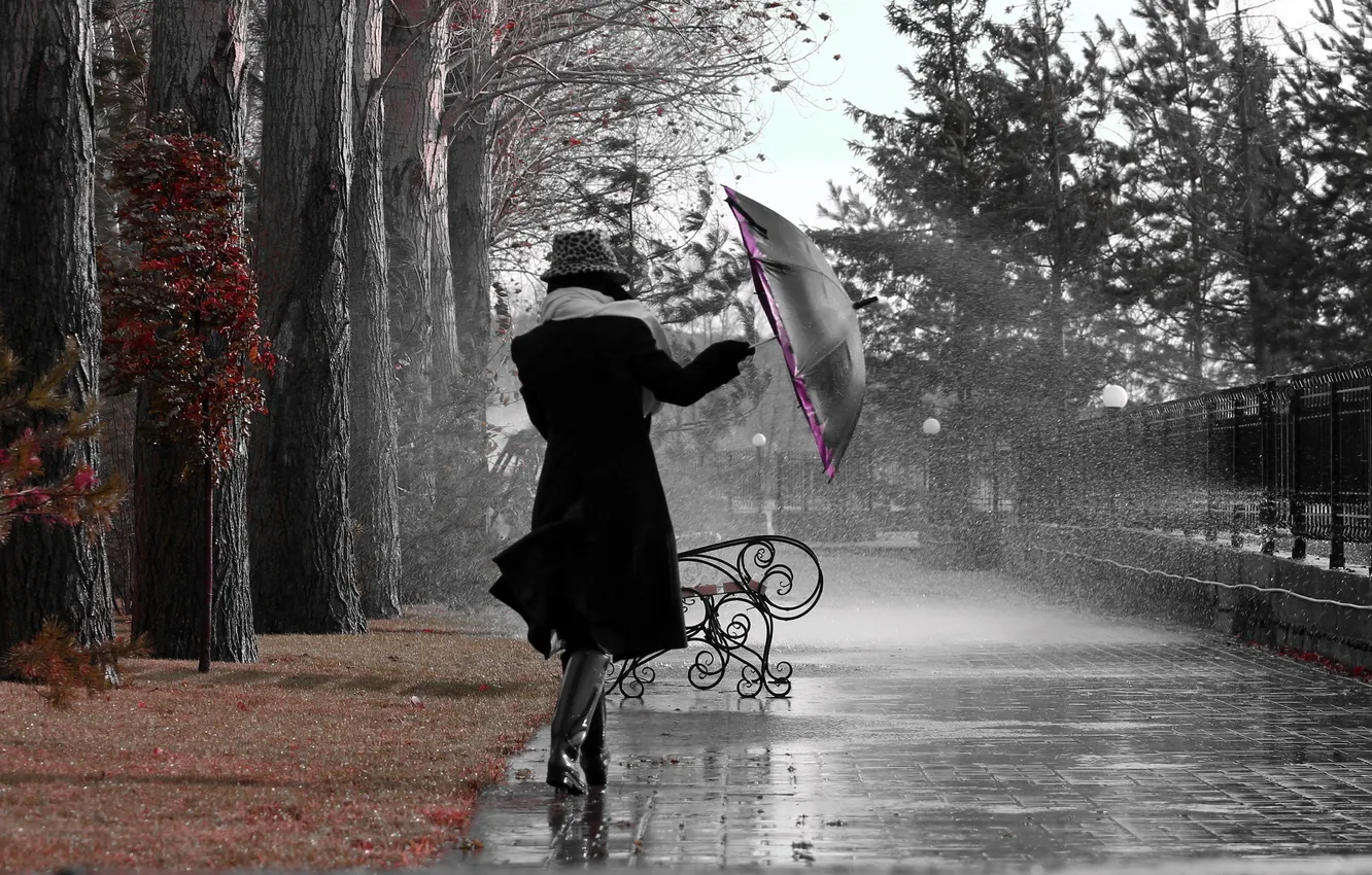 Photo wallpaper girl, rain, umbrella