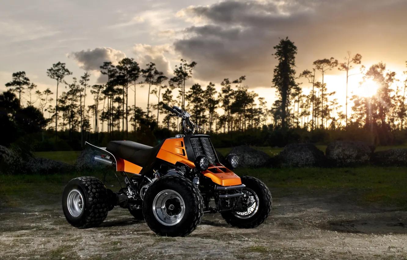 Photo wallpaper forest, the sky, the sun, clouds, trees, sunset, ATV, oranzhevy