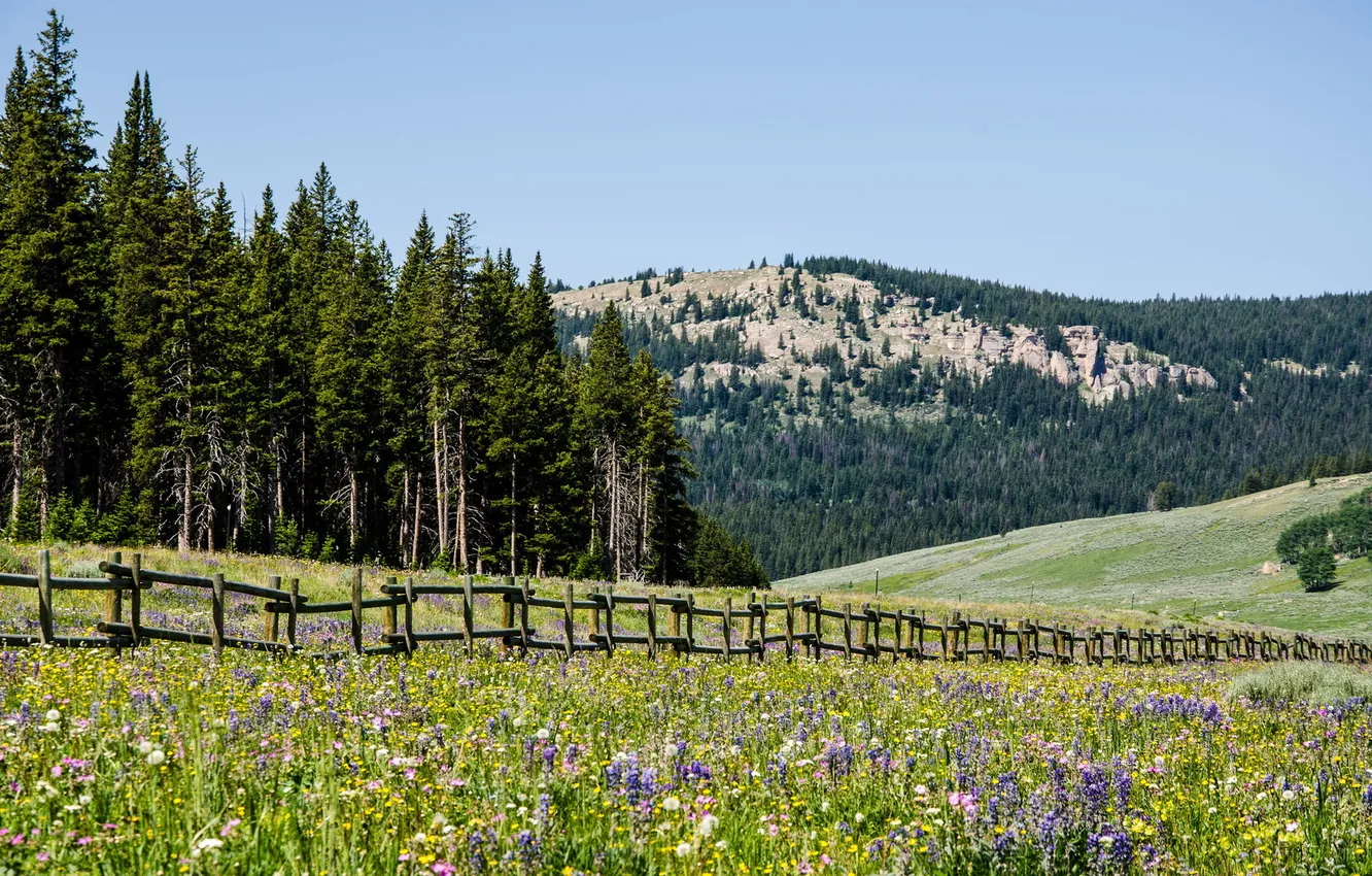Photo wallpaper field, summer, landscape, mountains, the fence