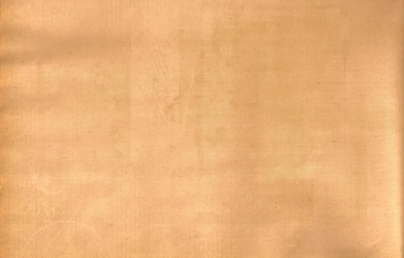 Photo wallpaper leaves, old, paper