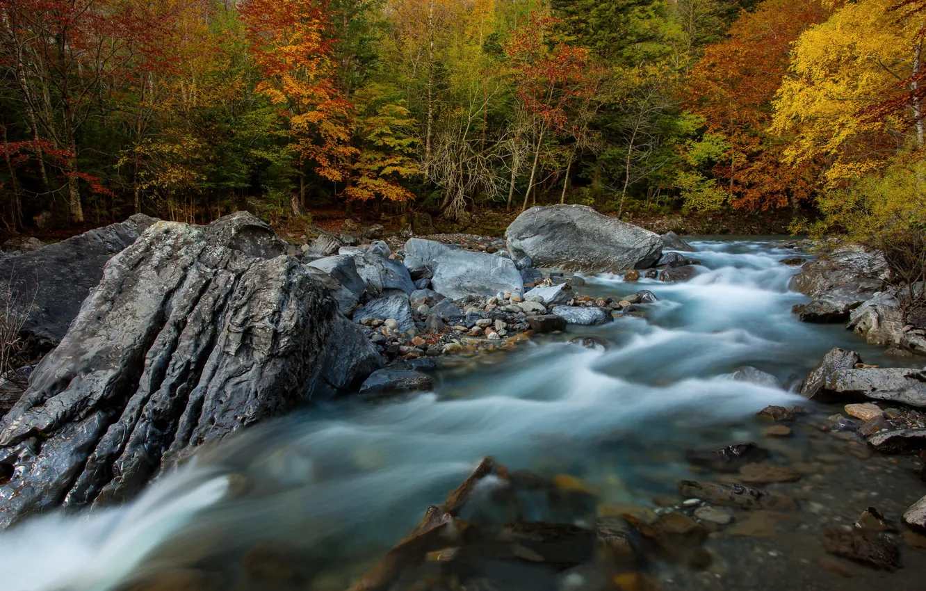 Photo wallpaper autumn, forest, river, rocks, stream, excerpt, Spain, The Ordesa national Park and Monte Perdido