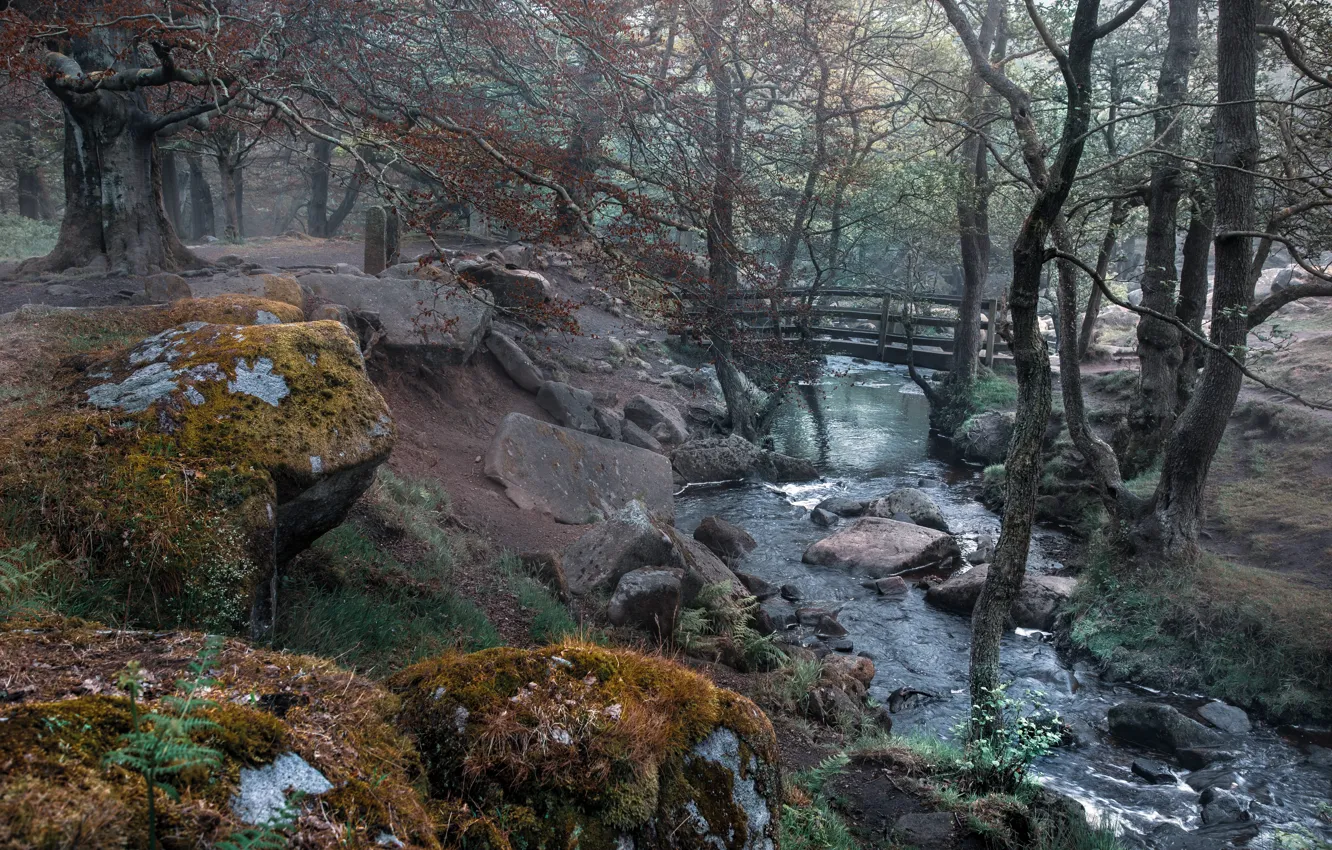 Photo wallpaper bridge, nature, Park, river, England, Derbyshire Dales District, Grindleford