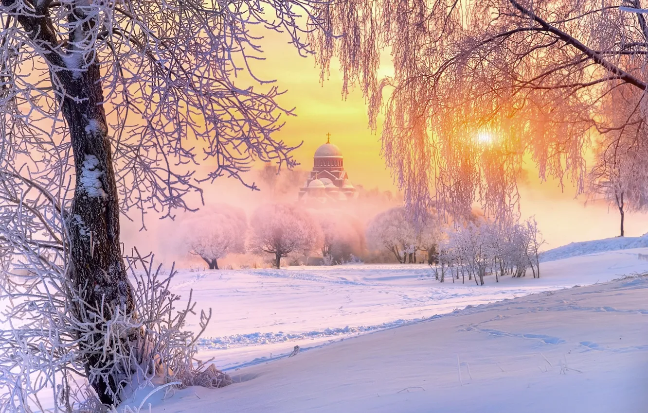 Photo wallpaper winter, frost, the sun, light, snow, trees, nature, temple