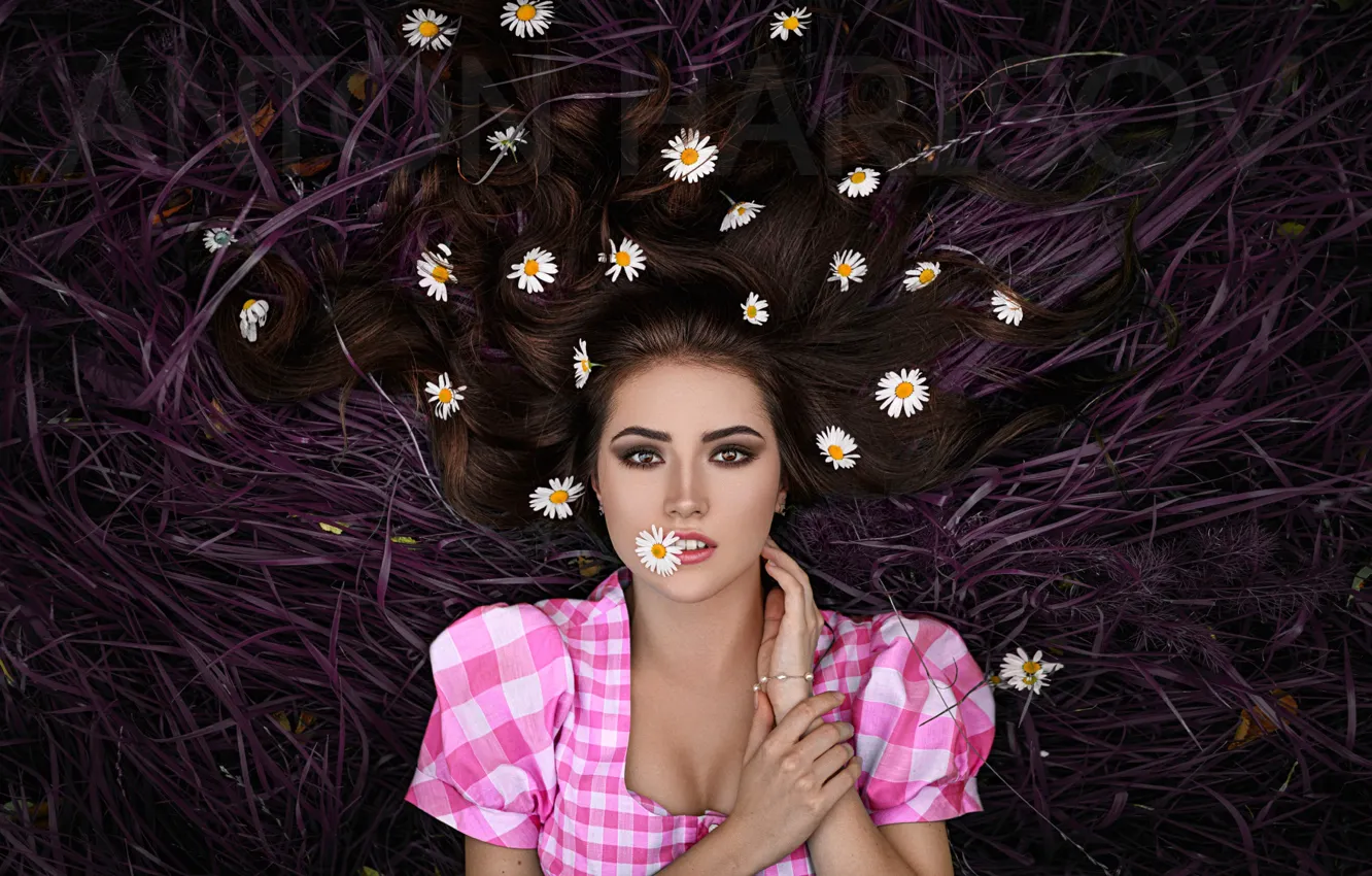 Photo wallpaper look, flowers, pose, background, model, hair, portrait, chamomile