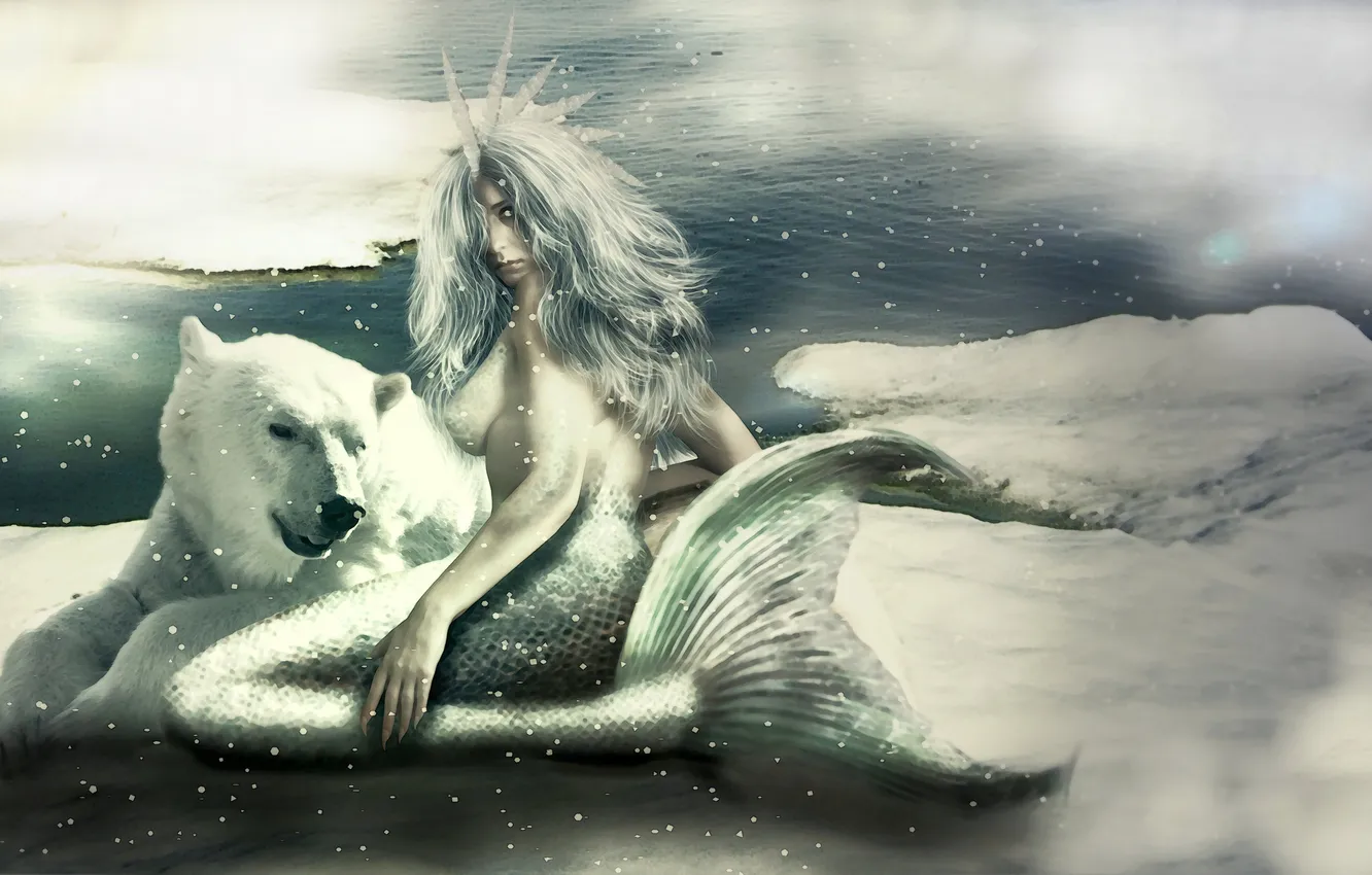 Photo wallpaper cold, look, snow, fiction, mermaid, art, tail, polar bear