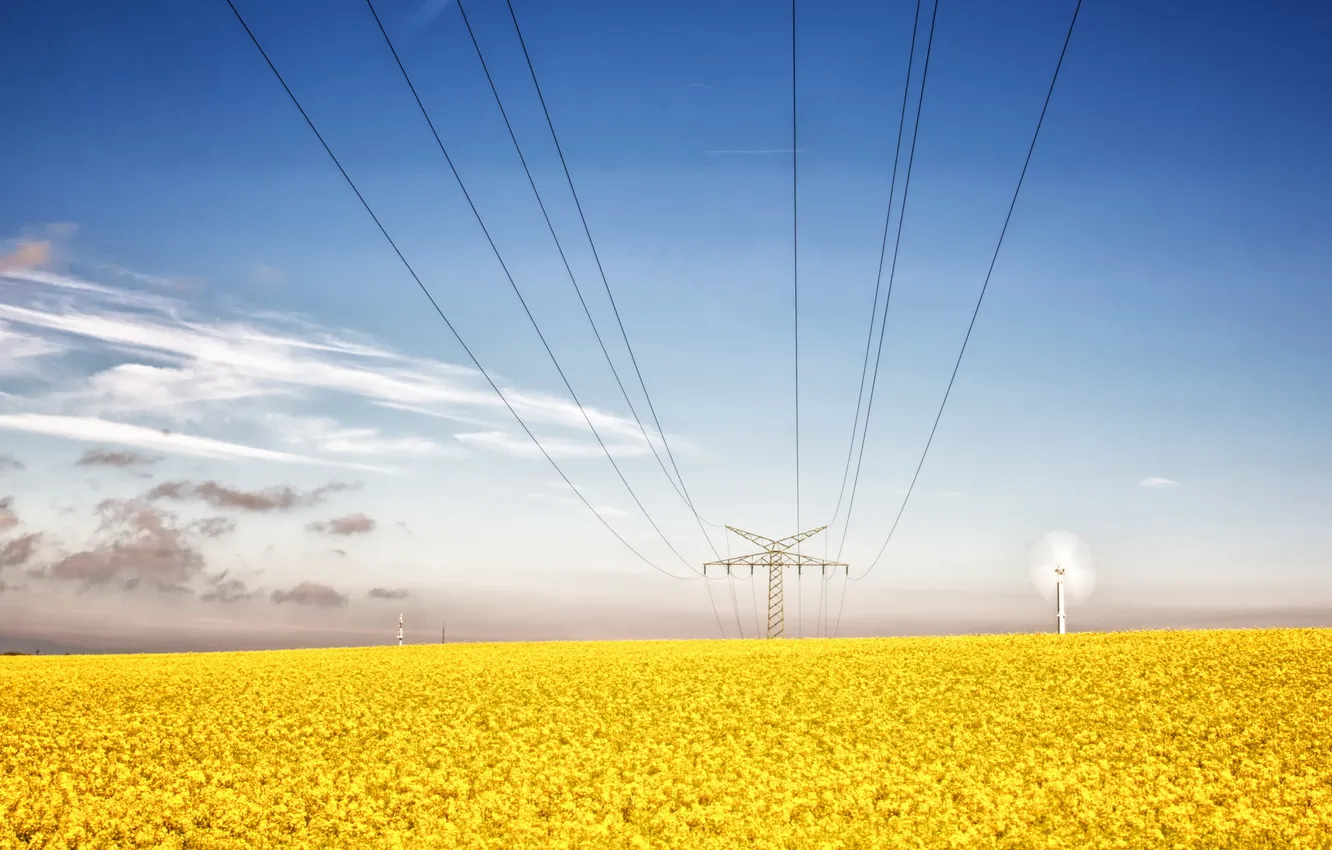 Photo wallpaper field, summer, landscape, power lines