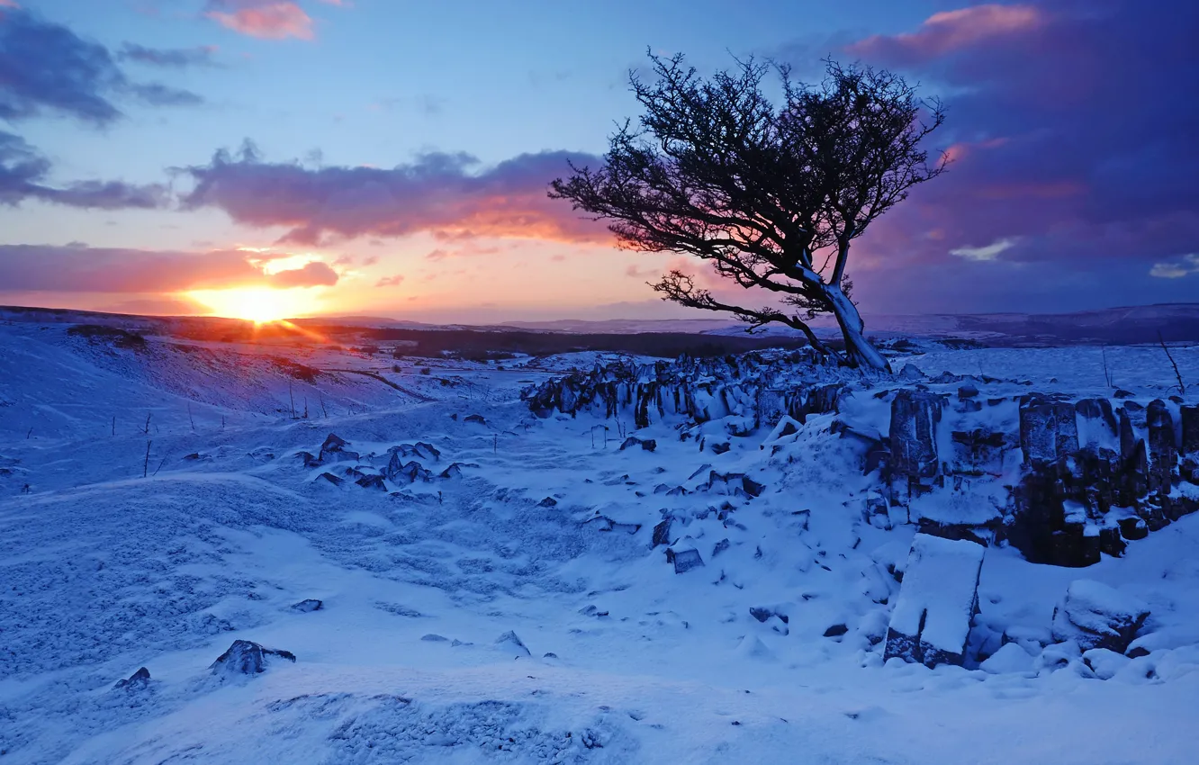 Photo wallpaper winter, snow, mountains, sunrise, tree, dawn, England, England