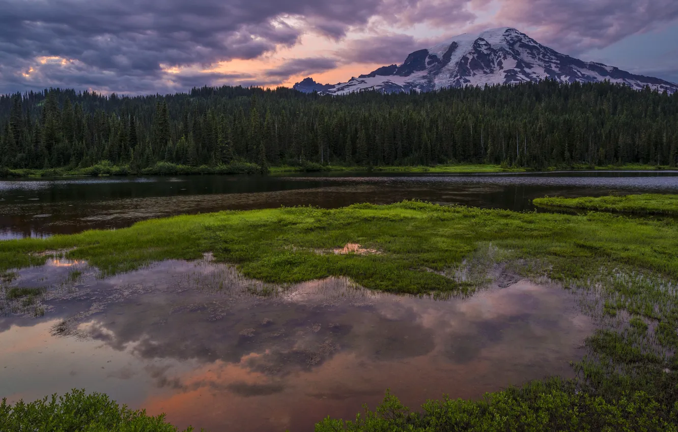 Photo wallpaper forest, grass, mountains, clouds, overcast, shore, the evening, ate