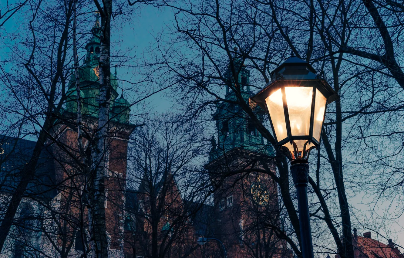 Photo wallpaper twilight, cathedral, trees, dusk, Poland, lamp, branches, church