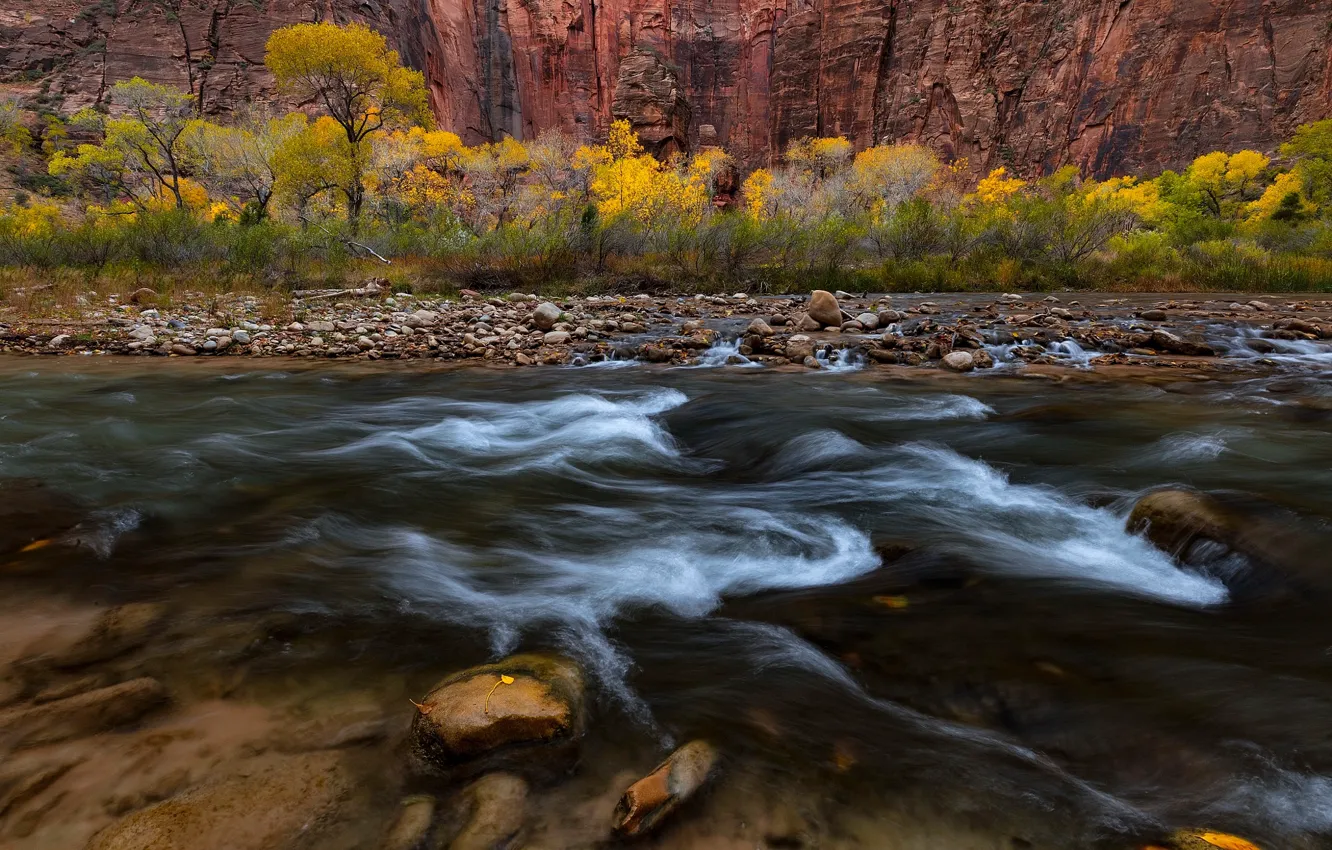 Photo wallpaper autumn, trees, nature, river, rocks, stream, USA