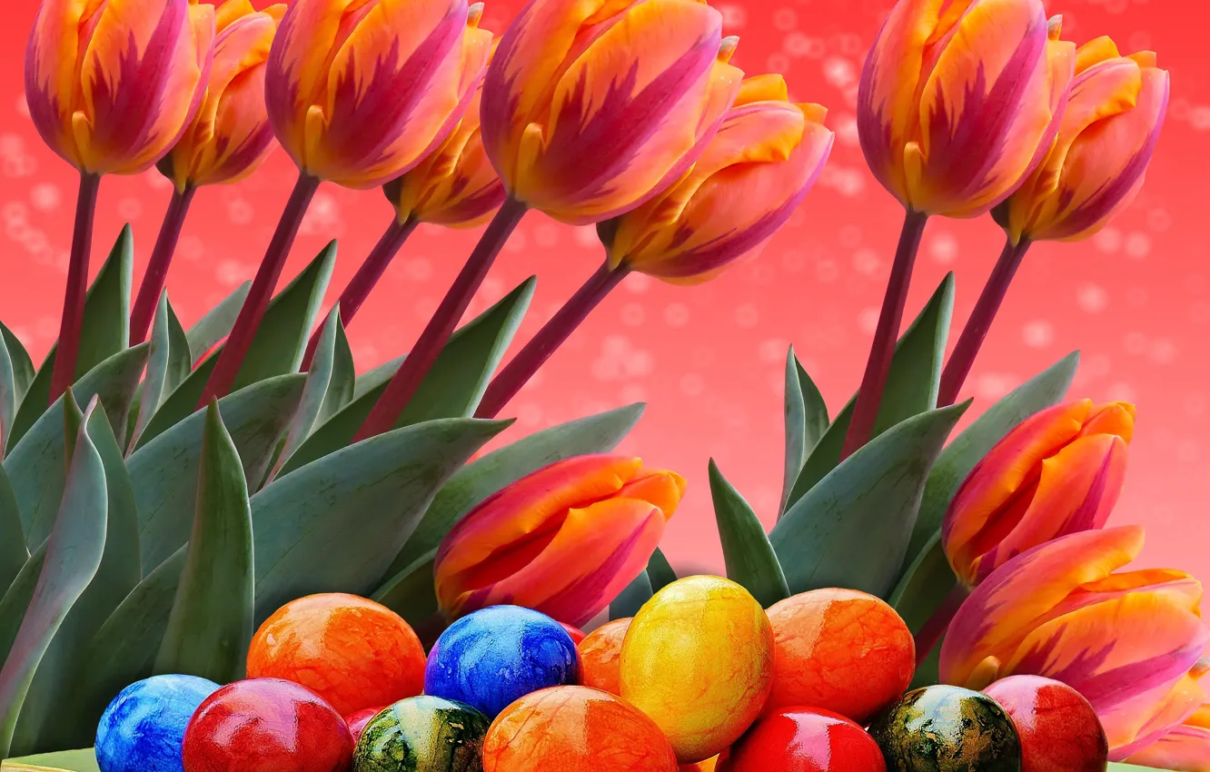 Photo wallpaper Easter, tulips, eggs, bright holiday