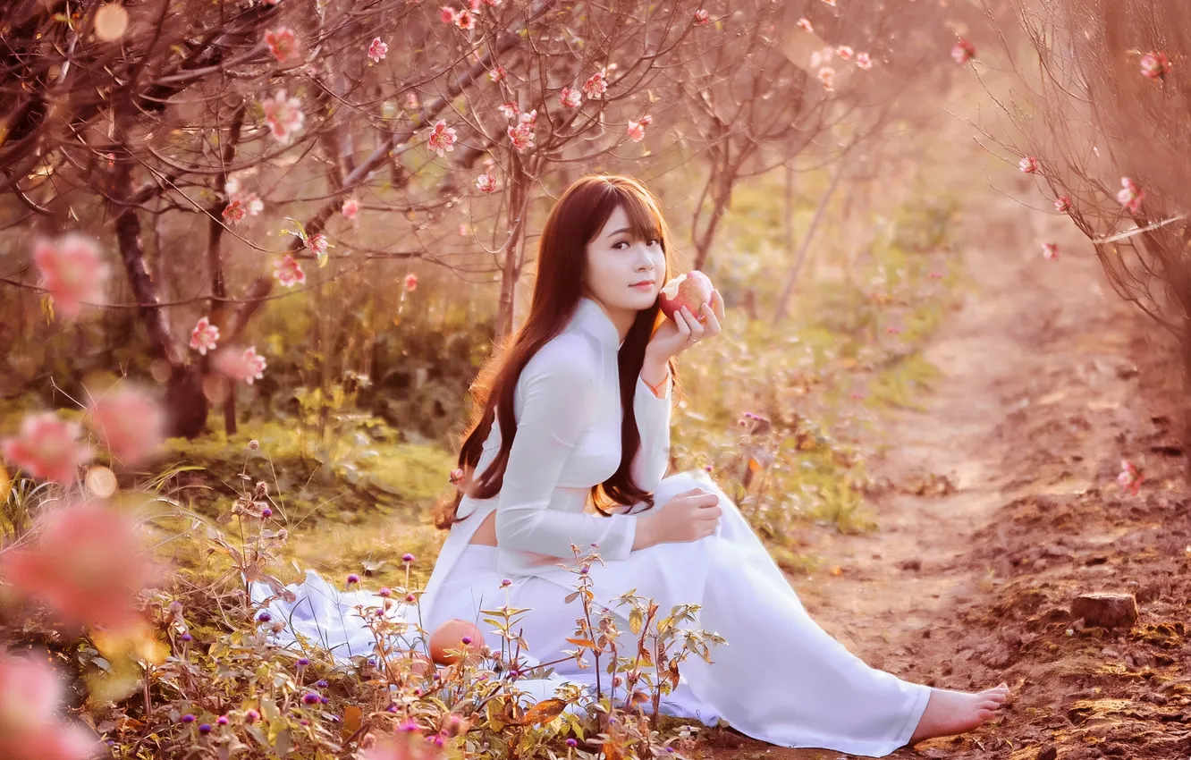 Photo wallpaper girl, Apple, garden, Asian