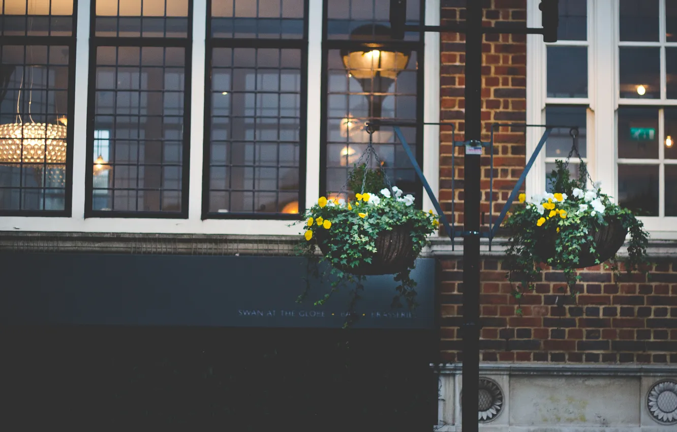 Photo wallpaper flowers, plant, building, home, pot