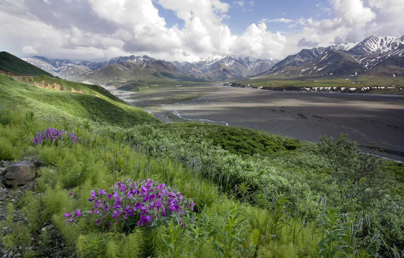 Photo wallpaper grass, clouds, flowers, mountains, stones, hills, direction