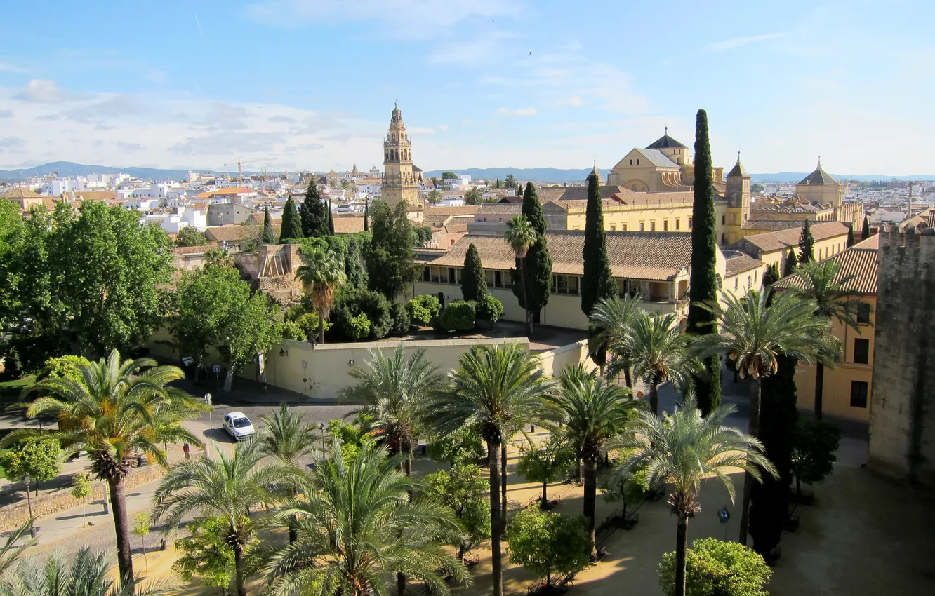 Photo wallpaper palm trees, street, home, Spain, Cordoba