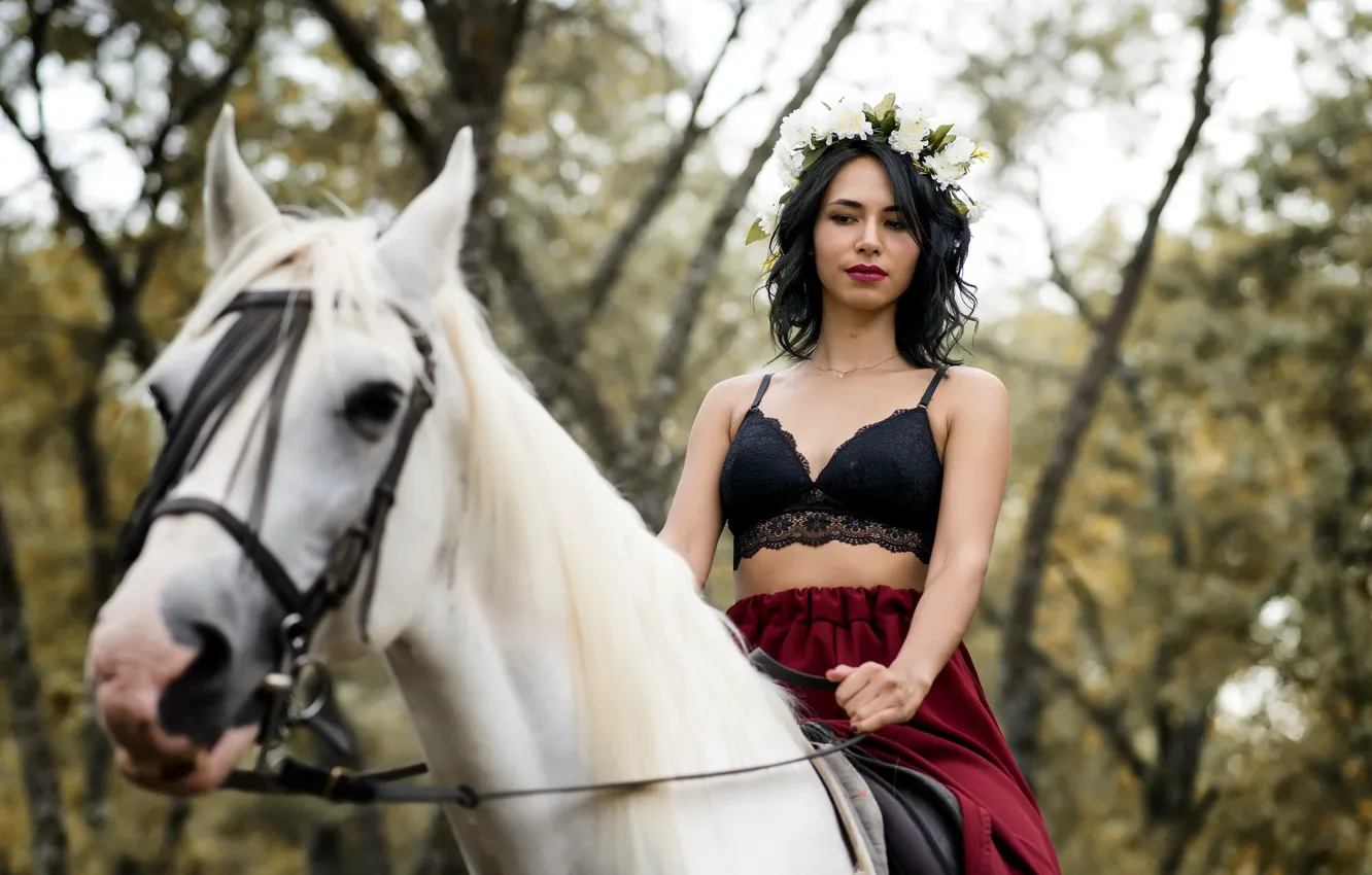 Photo wallpaper girl, horse, Beidy