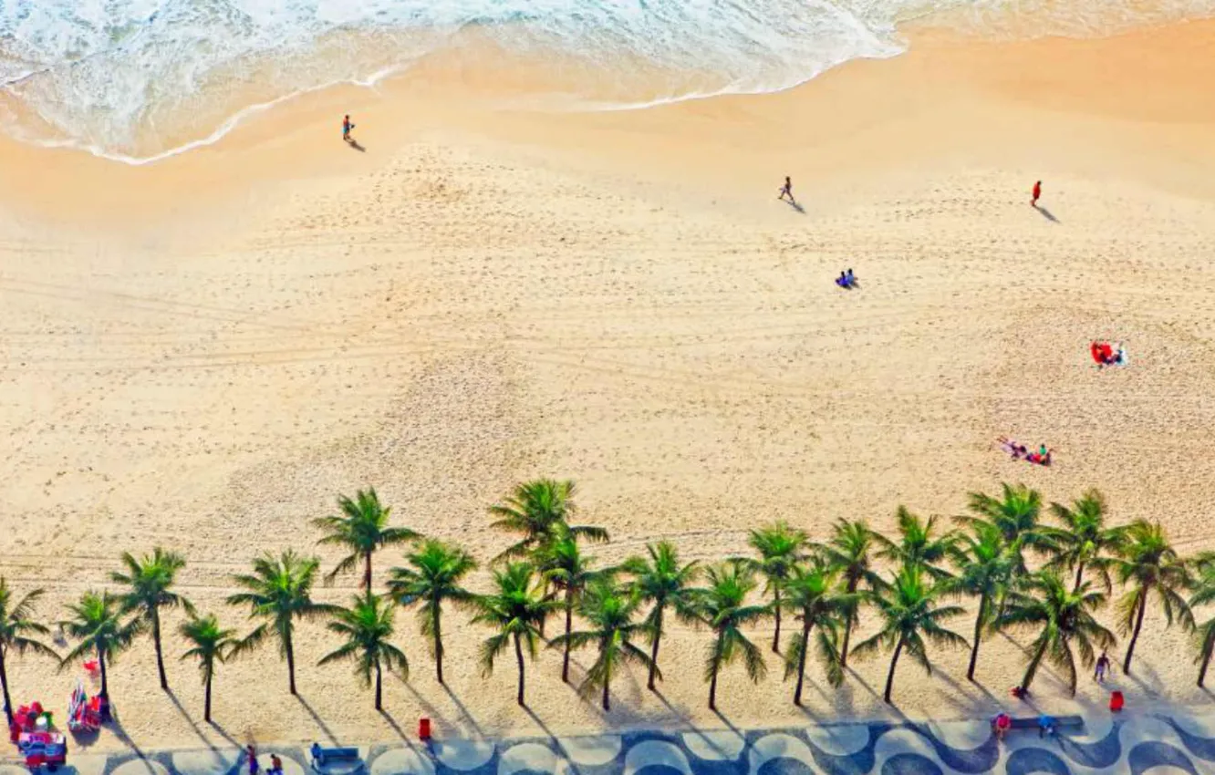 Photo wallpaper palm trees, shore, Brazil, Rio de Janeiro, Copacabana beach