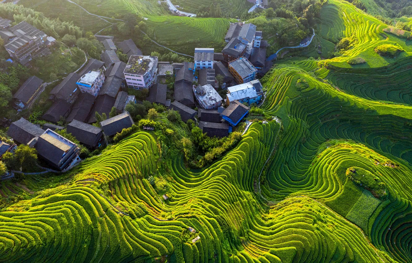 Photo wallpaper mountains, China, China, the view from the top, terrace, Guilin, Longji Terraces