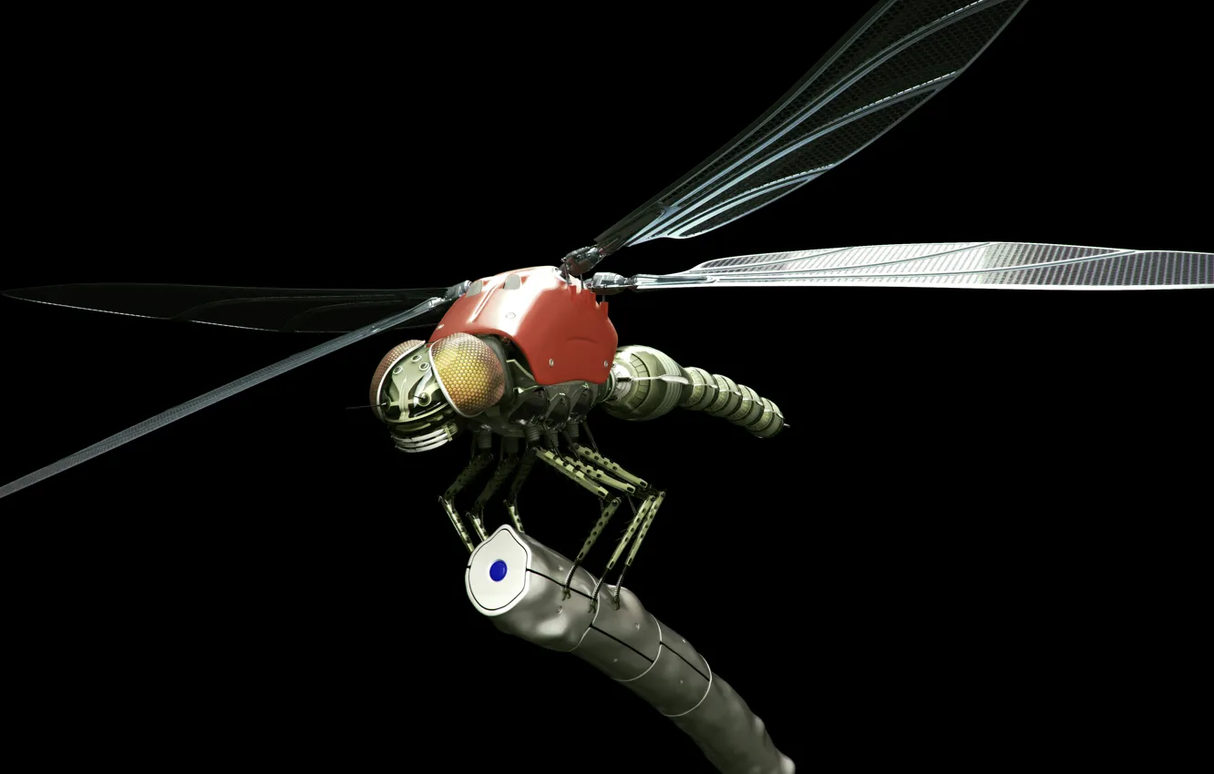 Photo wallpaper robot, dragonfly, dragonfly