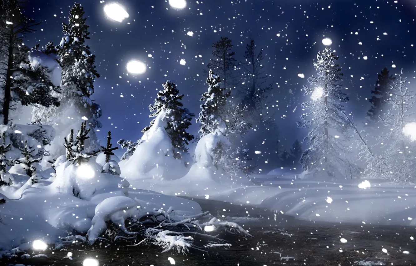 Photo wallpaper winter, snow, night, Forest, Christmas trees