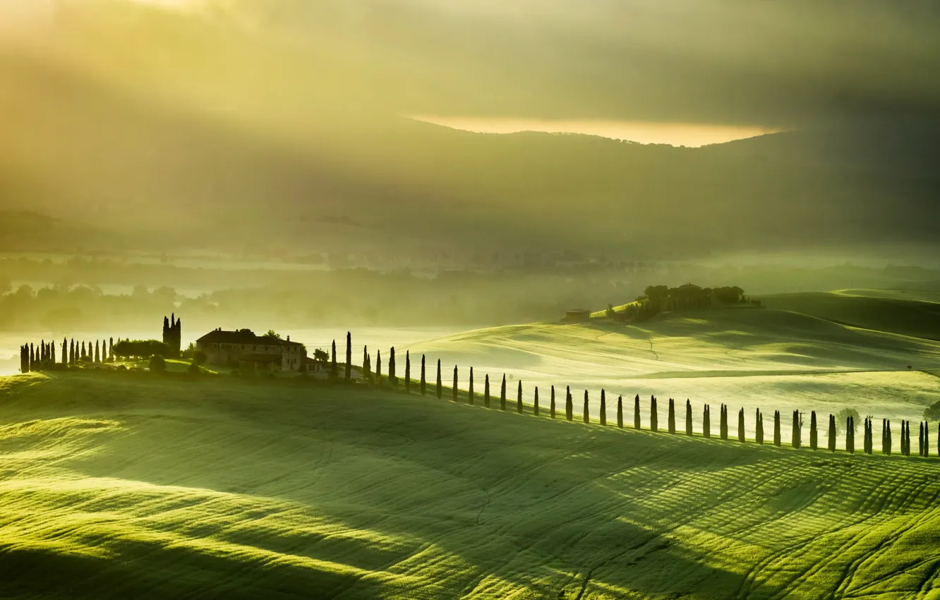 Photo wallpaper field, landscape, fog, Italy, Tuscany