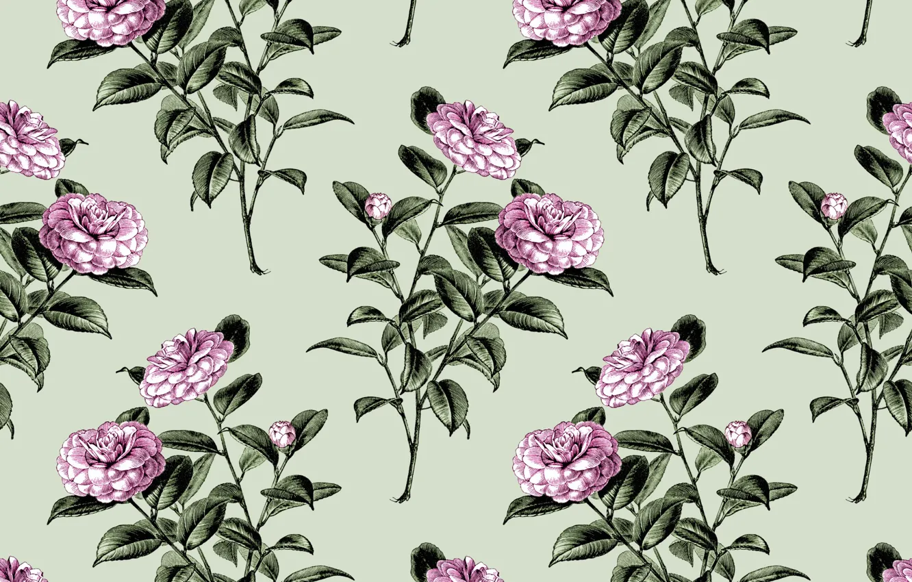 Photo wallpaper flowers, background, Wallpaper, Flowers, vintage, Wallpaper, Vintage, Camellia