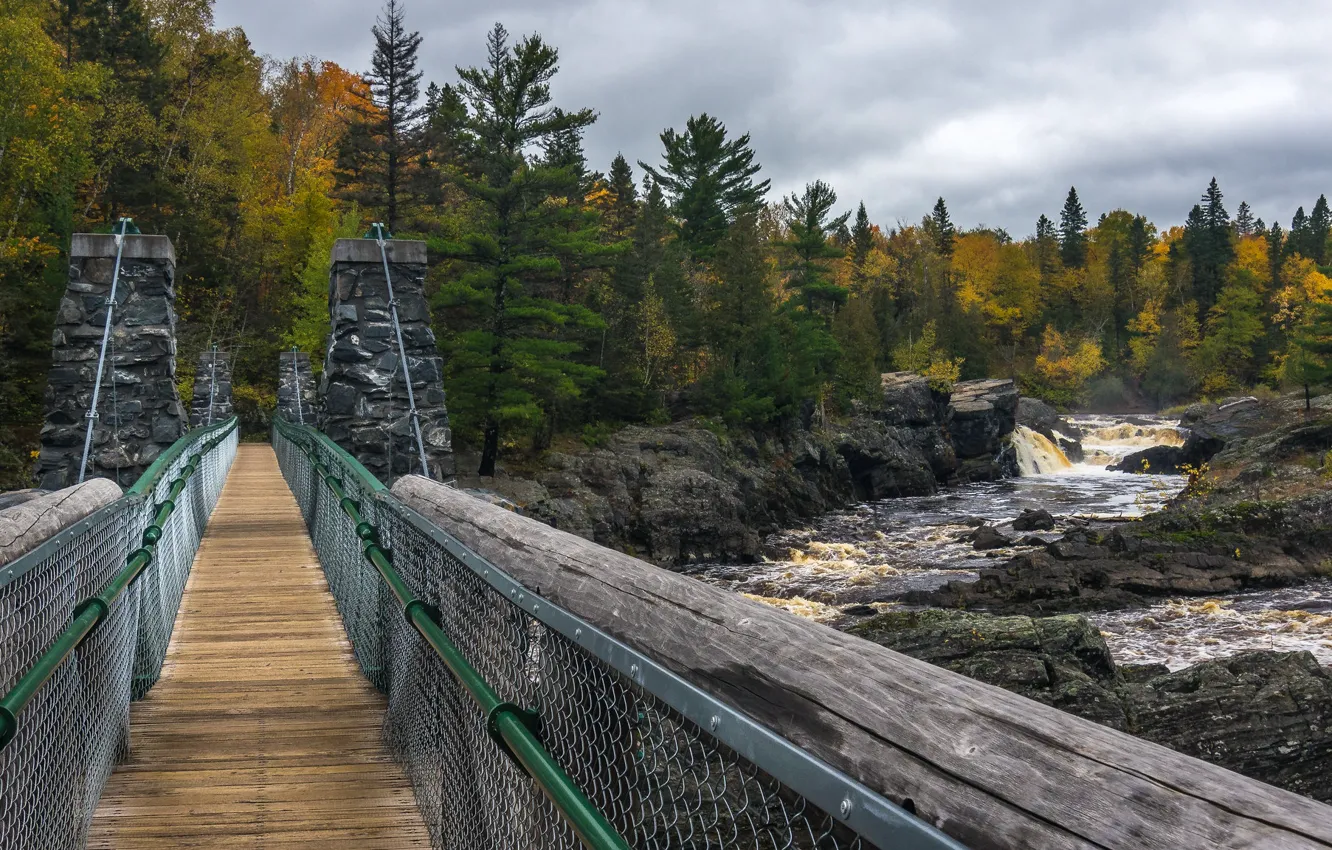 Photo wallpaper bridge, river, autumn, Jay Cooke state park