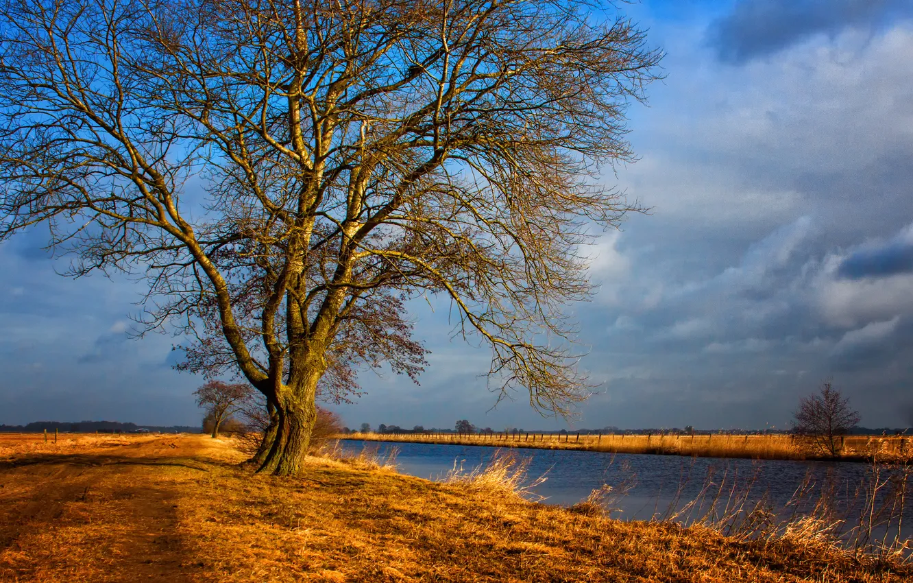 Photo wallpaper road, field, clouds, trees, channel