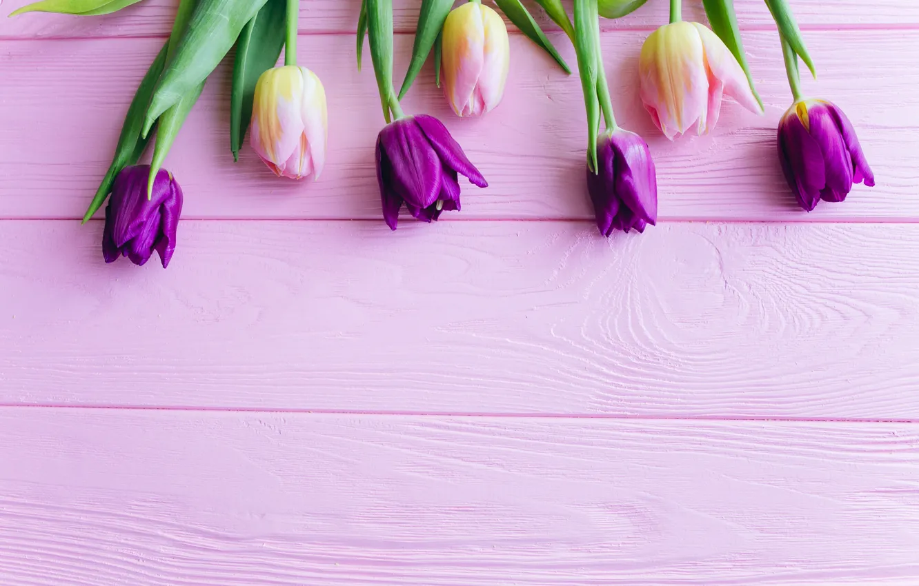 Photo wallpaper flowers, tulips, pink, fresh, wood, pink, flowers, beautiful