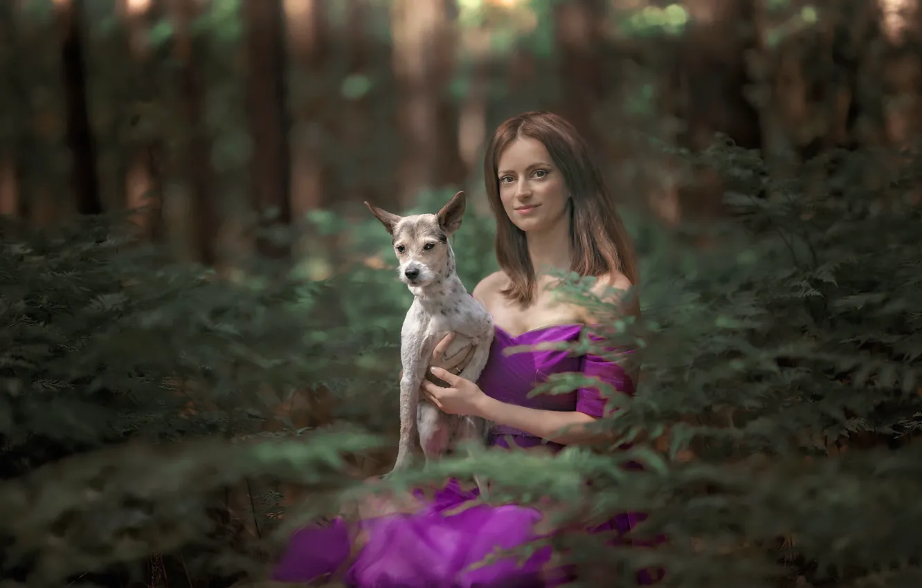 Photo wallpaper forest, girl, dog