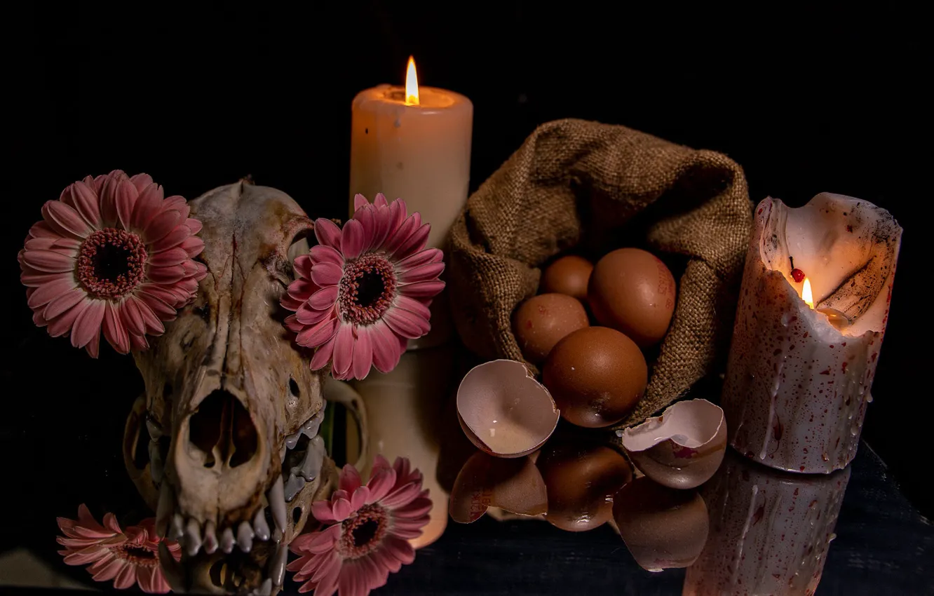 Photo wallpaper flowers, reflection, the dark background, flame, skull, eggs, teeth, candles