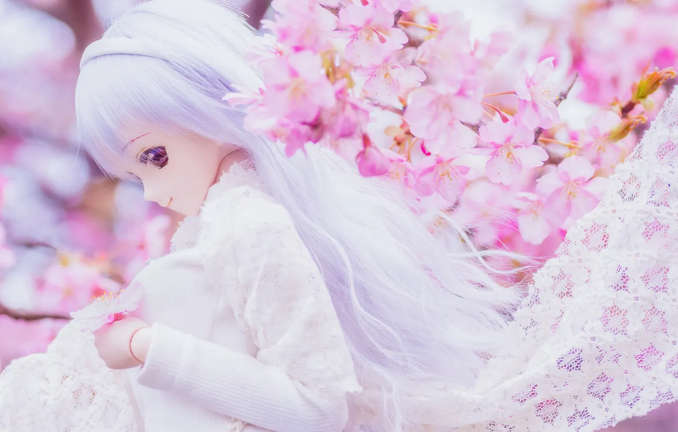 Photo wallpaper toy, doll, Sakura, blonde