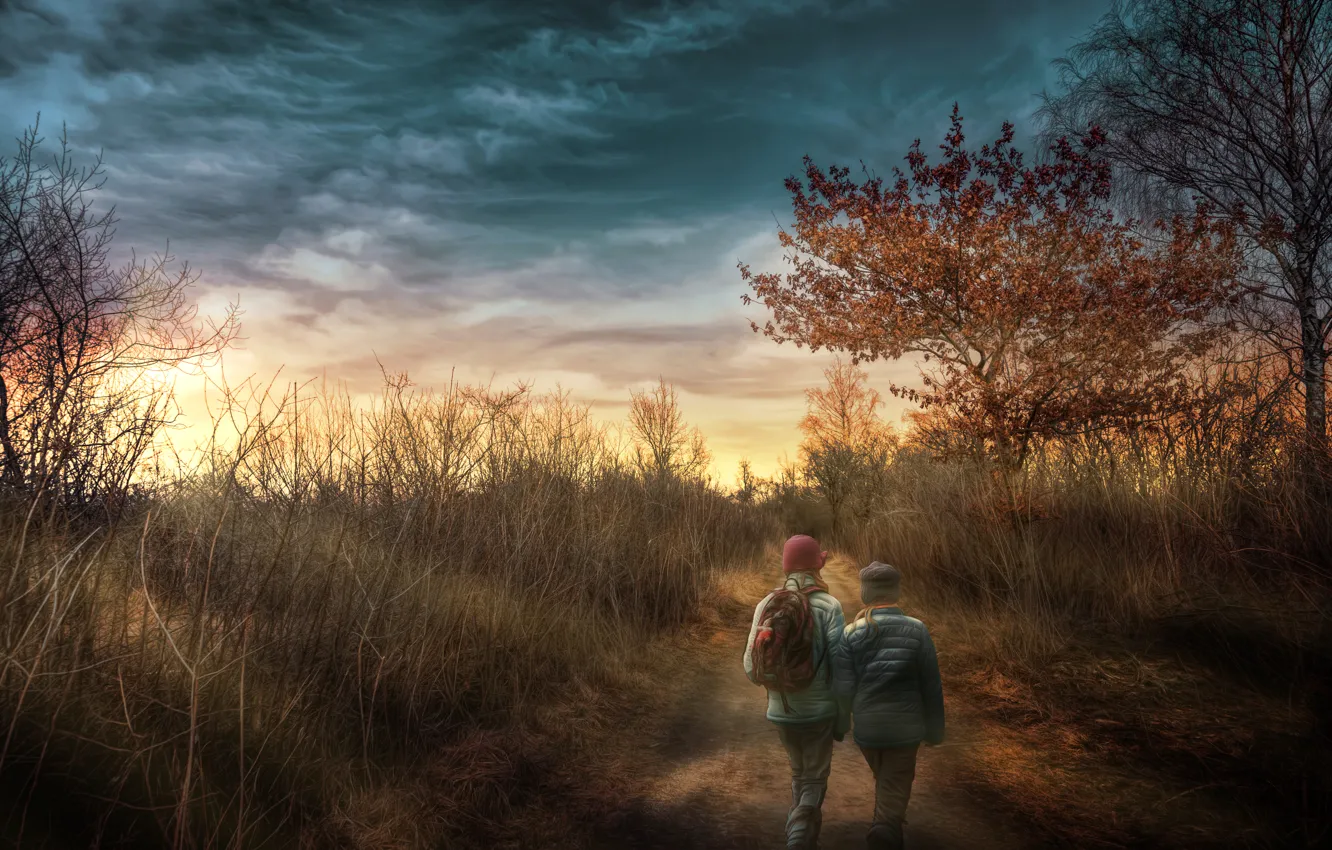 Photo wallpaper forest, children, treatment, walk