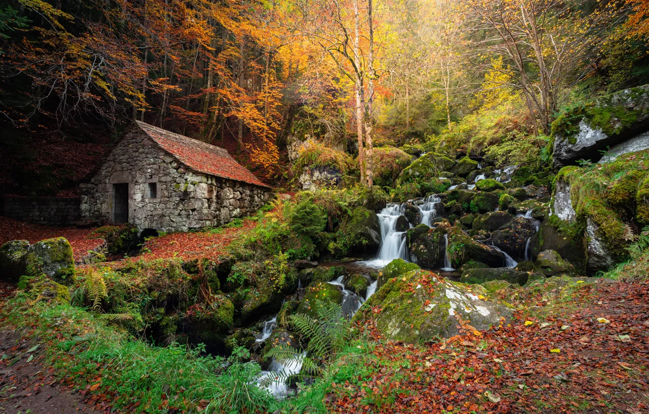 Photo wallpaper autumn, forest, waterfall, slope, house