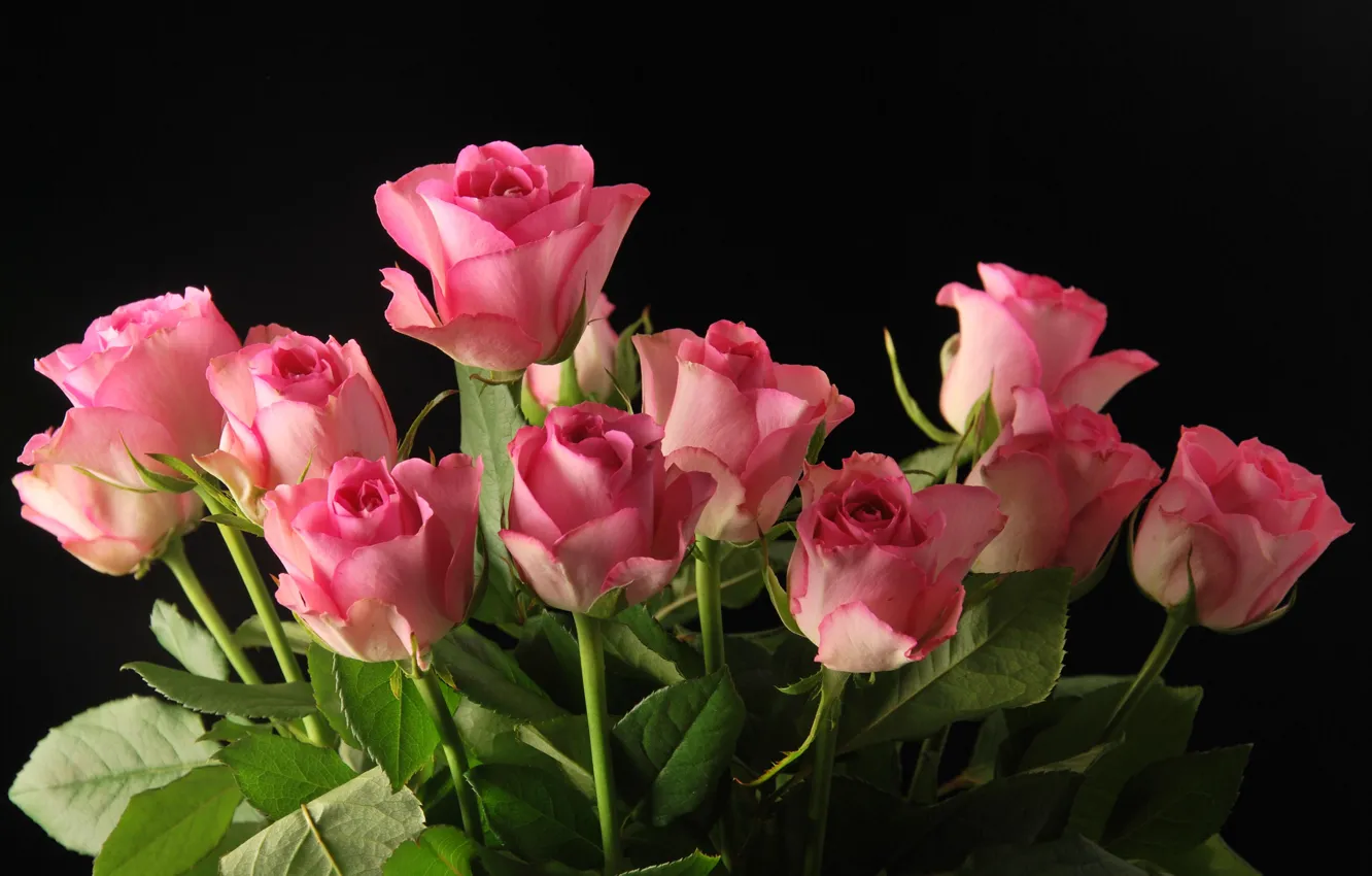Photo wallpaper flowers, background, roses, bouquet, pink, buds, flora