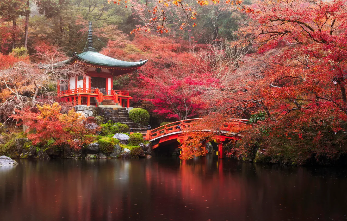 Photo wallpaper autumn, forest, bridge, river, Japan, temple, Japan, forest