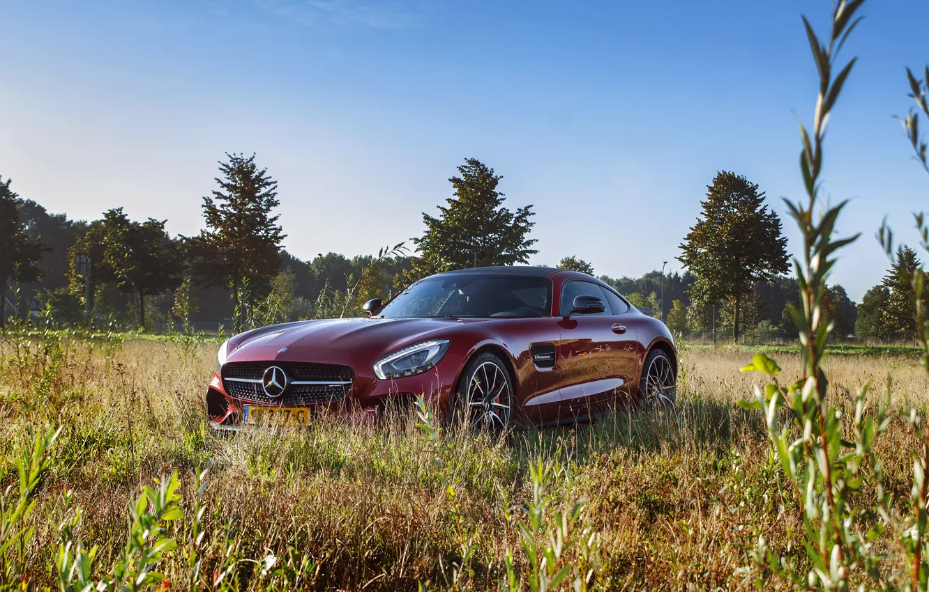 Photo wallpaper car, Mercedes, nature, AMG, GT S, Edition One