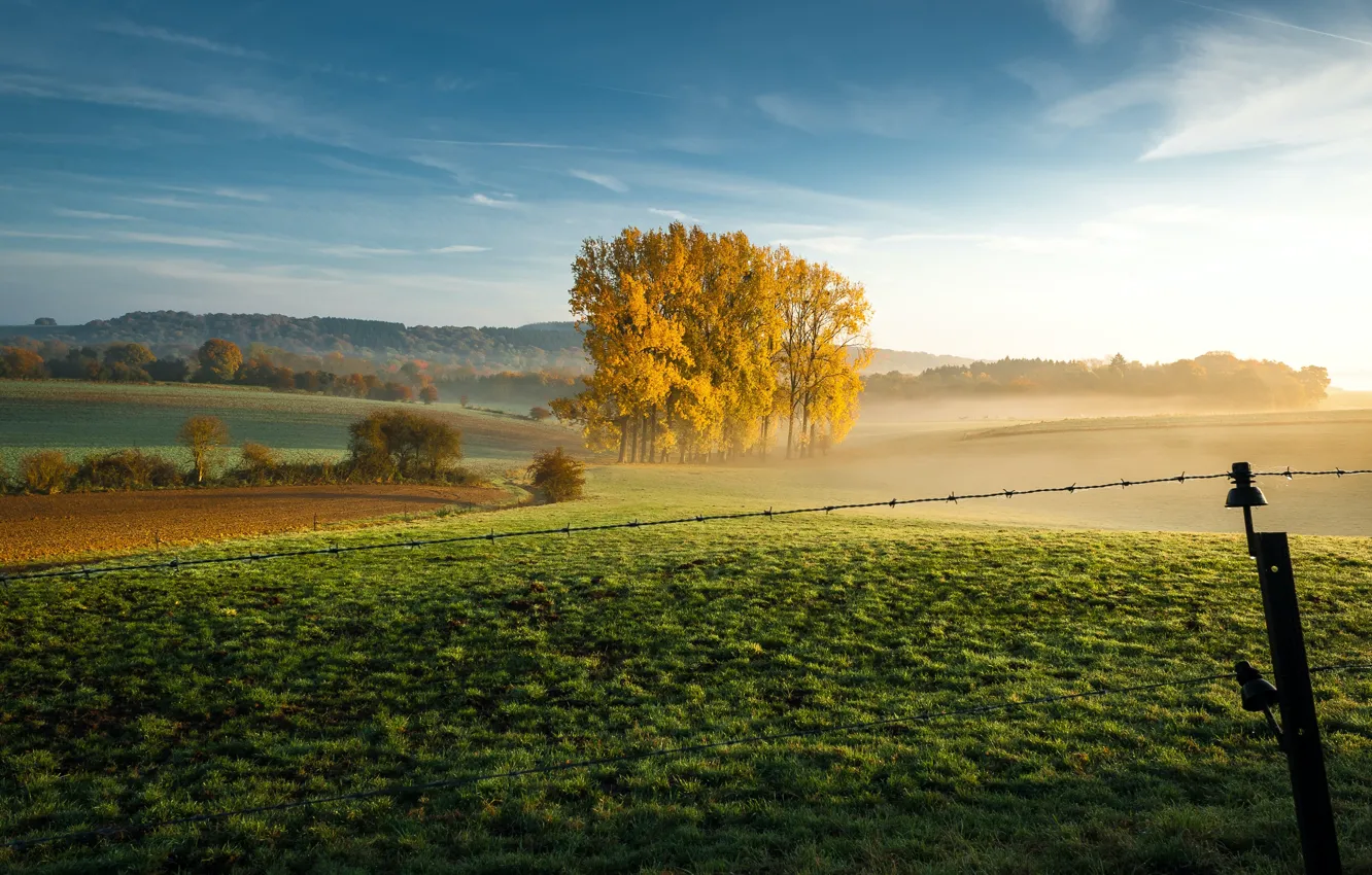 Photo wallpaper field, autumn, forest, grass, clouds, trees, fog, the fence