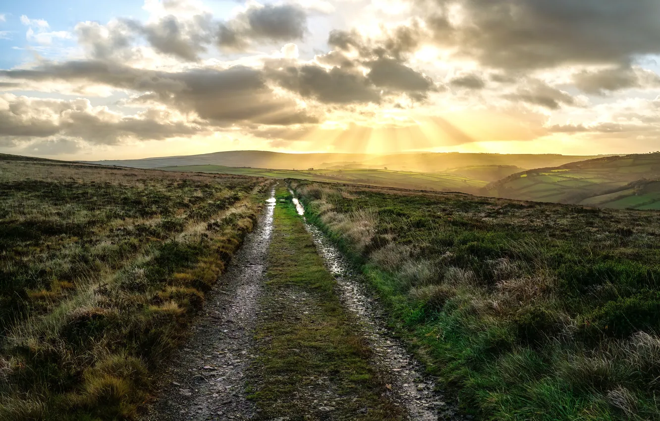 Photo wallpaper road, field, light, morning