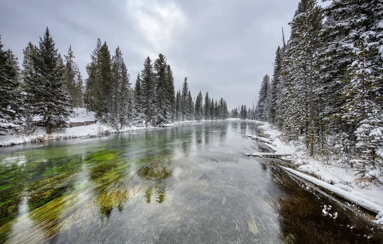 Photo wallpaper winter, forest, river