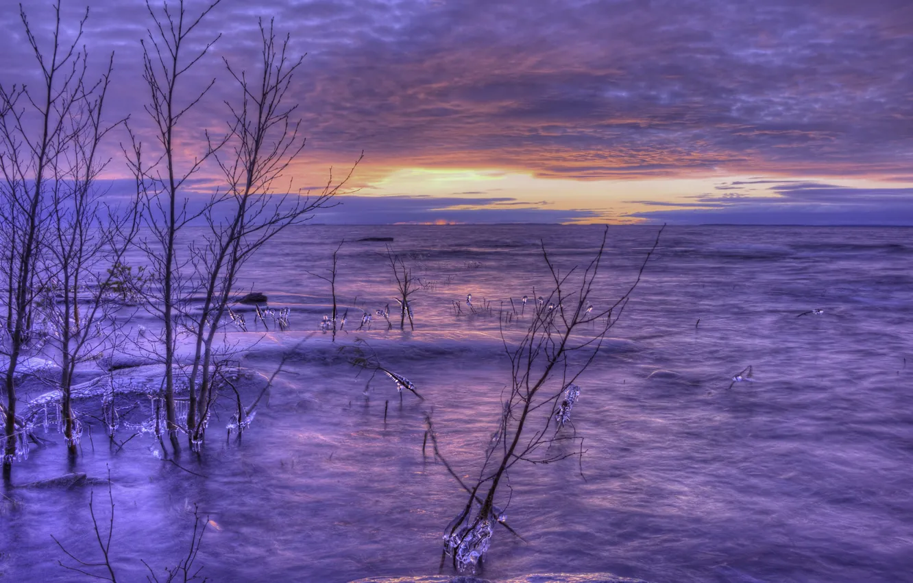 Photo wallpaper ice, winter, the sky, clouds, trees, sunset, orange, lake