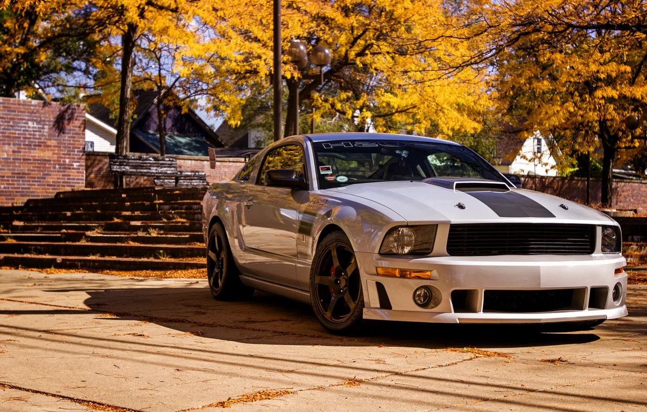 Photo wallpaper Mustang, Ford, Mustang, 2012, Ford, Roush, 427R