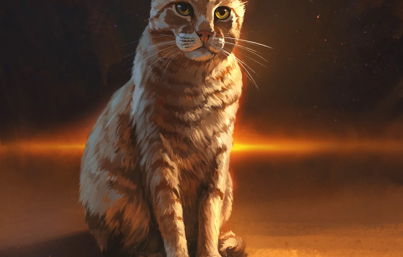 Photo wallpaper cat, cat, art