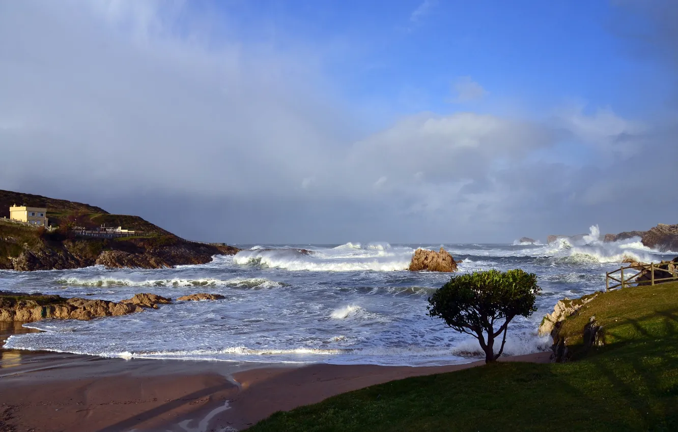 Photo wallpaper sea, wave, the sky, storm, tree, rocks, Bay, Bay