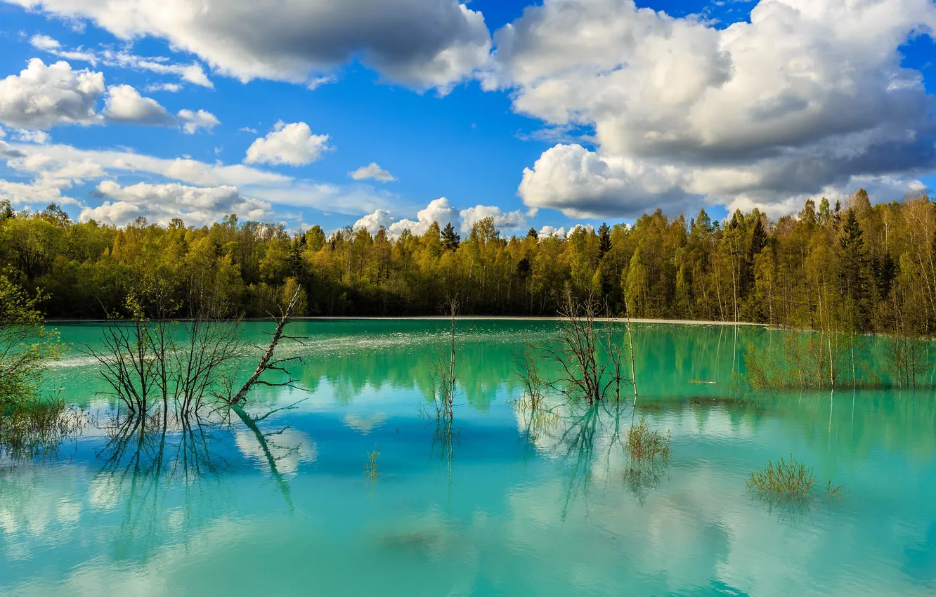 Photo wallpaper forest, the sky, clouds, river, spring, spill, flood